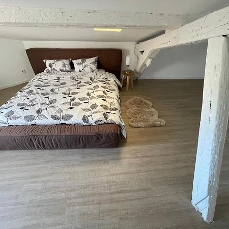 Appartement Duplex Quartier Saint-Sernin, Toulouse Extérieur photo